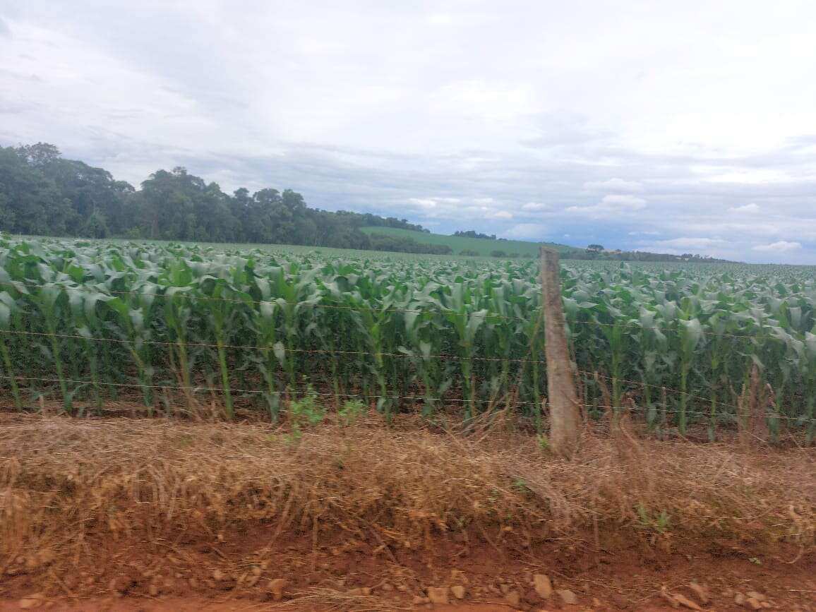 Fazenda à venda - ,