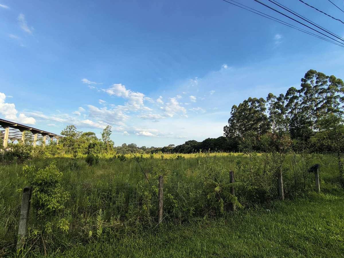  - Área à venda em Curitiba, Tatuquara, ÁREA TATUQUARA CURITIBA PRm²