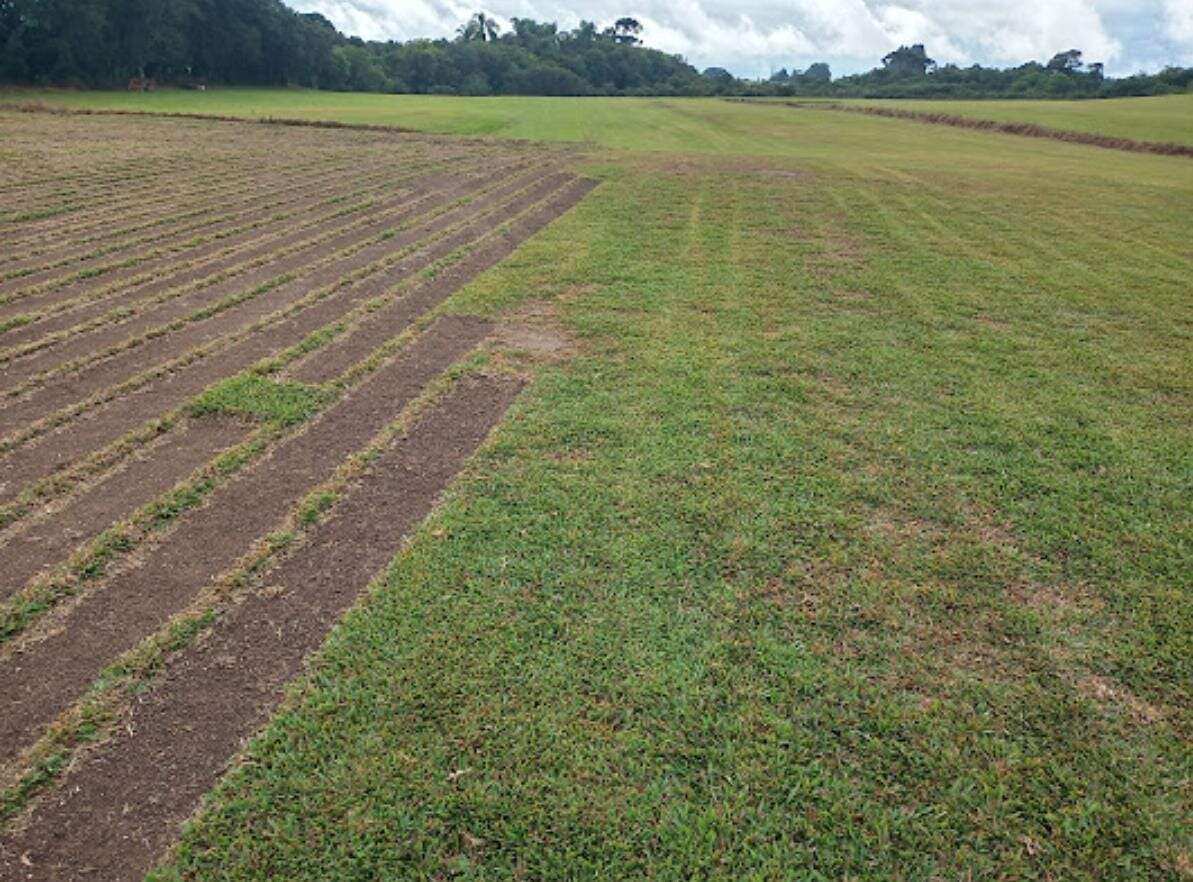 Área à venda, 40000m² - ,